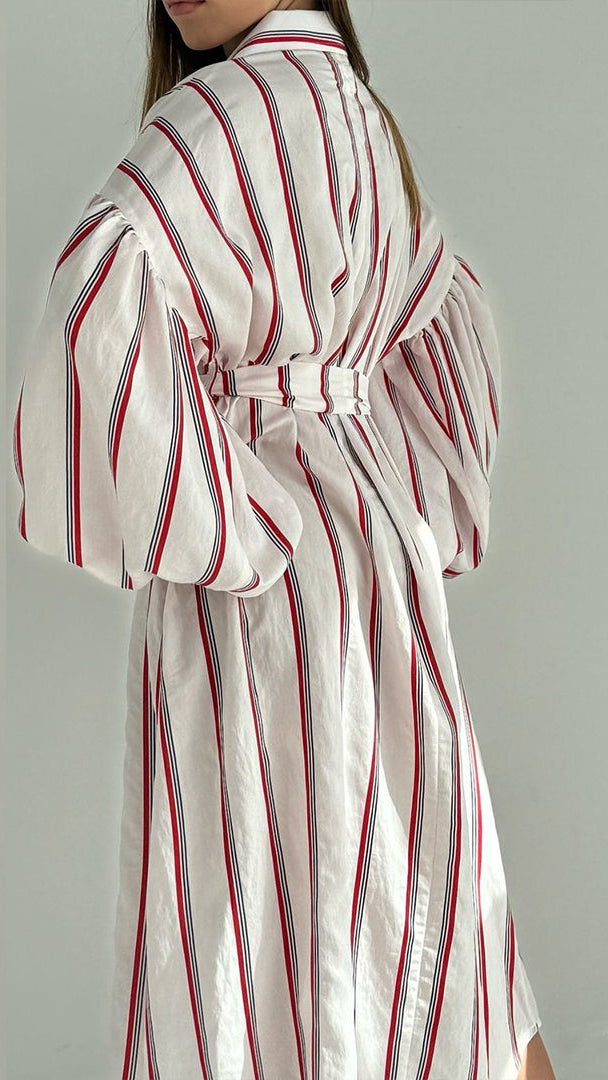 The Buff Sleeve Shirt Dress